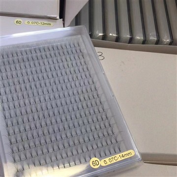 New Order Of Large Tray 320 Premade Lash Fans