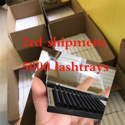 2n enviament de safates de pestanyes personalitzades